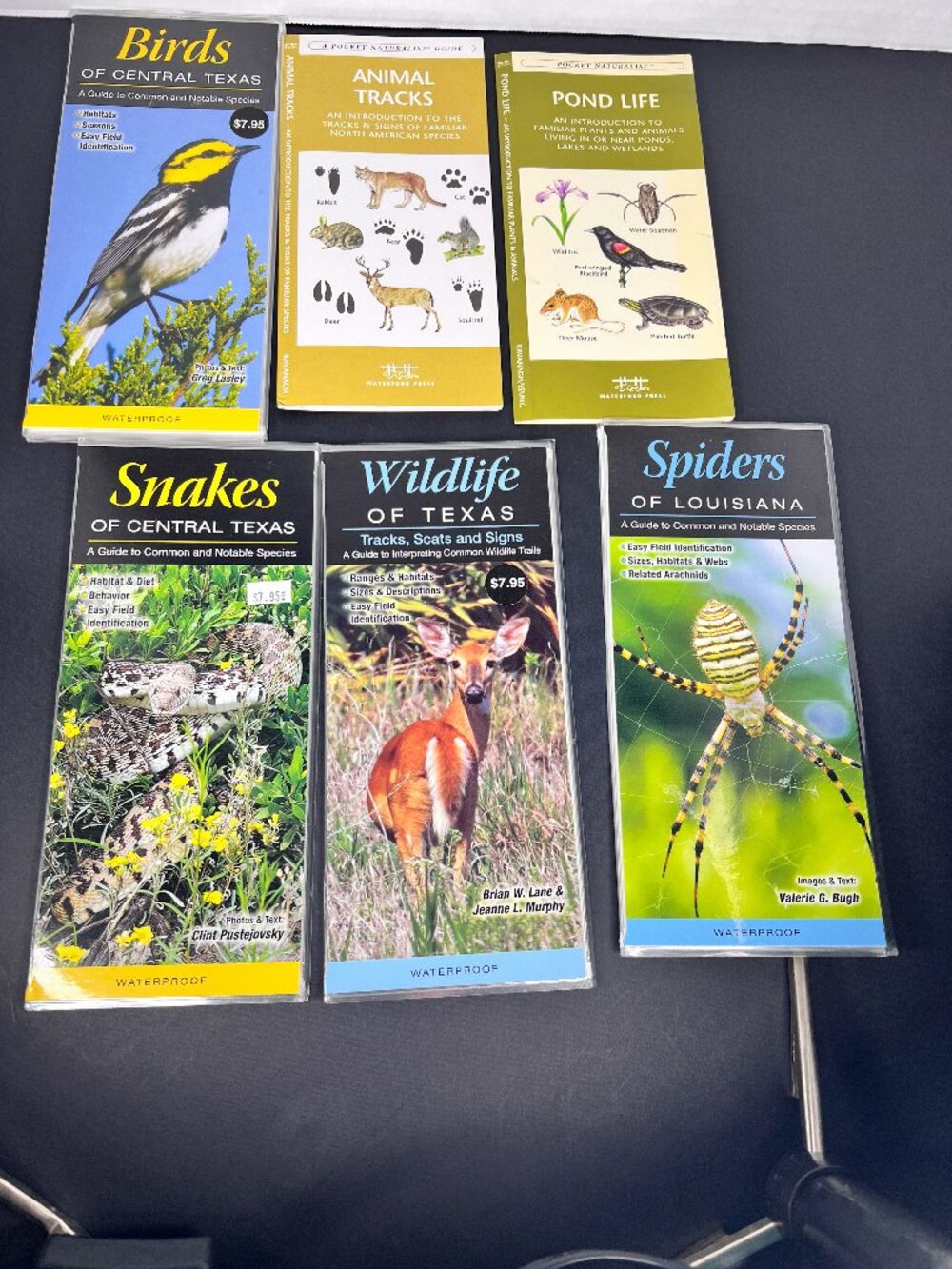 5 Field Guides- Texas Birds Snakes Wildlife, Louisiana Spiders, Pond Life Tracks